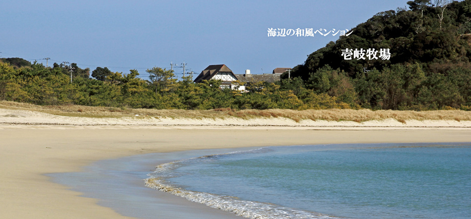 壱岐随一のビーチ筒城浜に面した壱岐牧場の写真